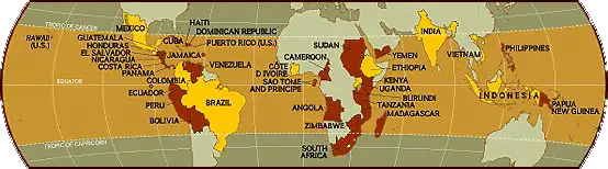 Organic Coffee Regions in the World